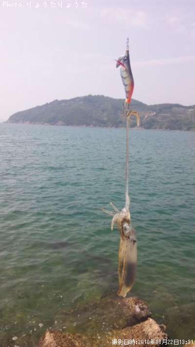 �����ꥤ��