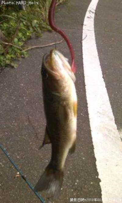 �֥�å��Х�