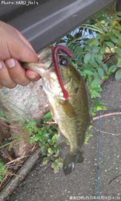 �֥�å��Х�