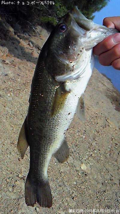 �֥�å��Х�