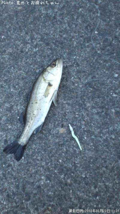 �����Х�