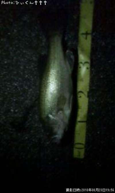 �֥�å��Х�