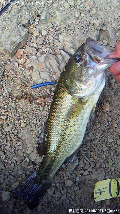 �֥�å��Х�