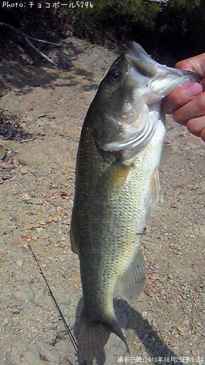 �֥�å��Х�