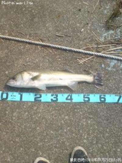 �����Х�