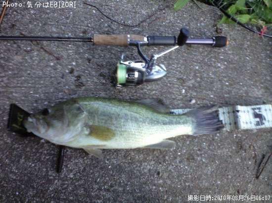 �֥�å��Х�