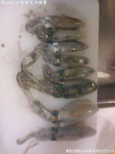 �����ꥤ��