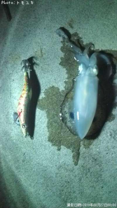 �����ꥤ��