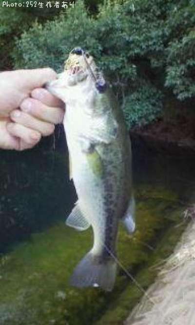 �֥�å��Х�