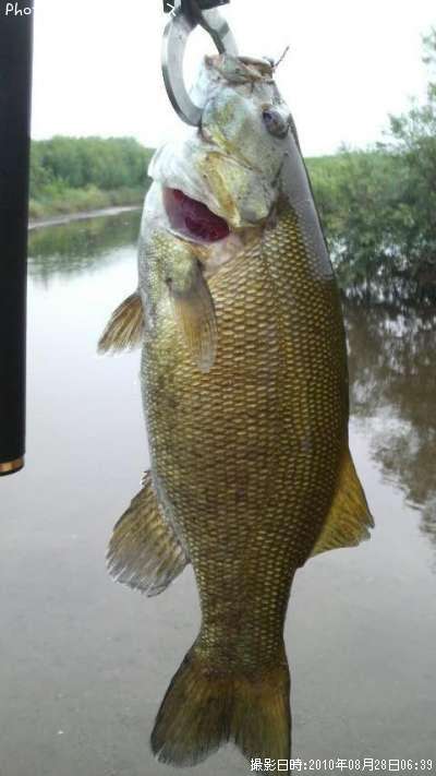 �֥�å��Х�