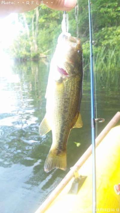 �֥�å��Х�