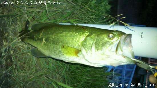 �֥�å��Х�