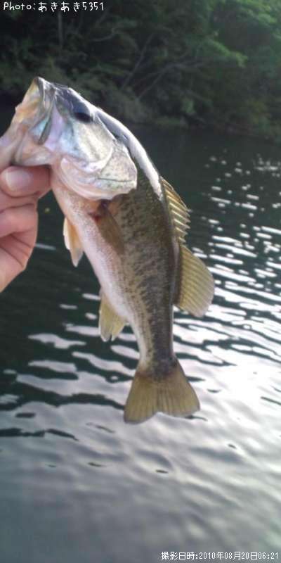 �֥�å��Х�