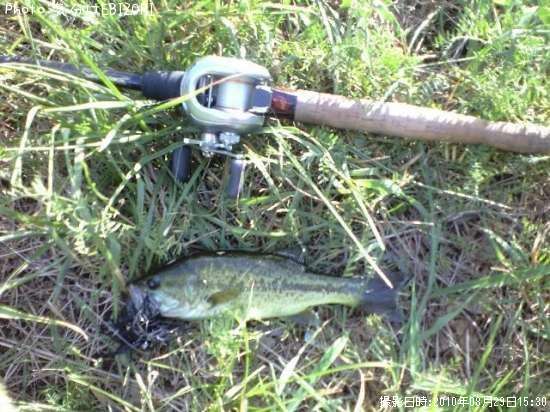 �֥�å��Х�