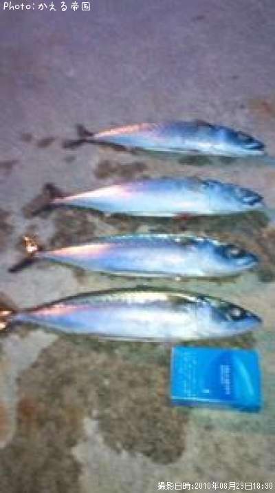 ���Ф����