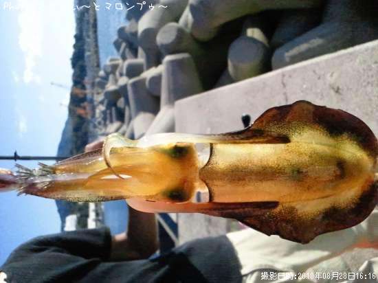 �����ꥤ��