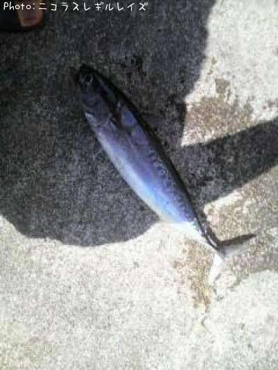 ���������ĥ�