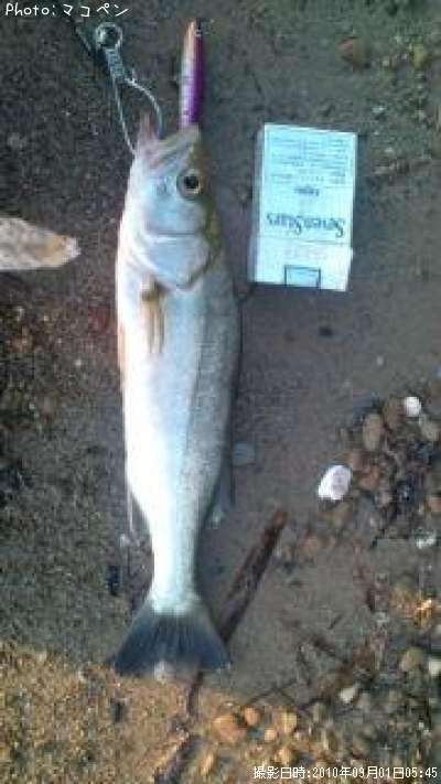 �����Х�