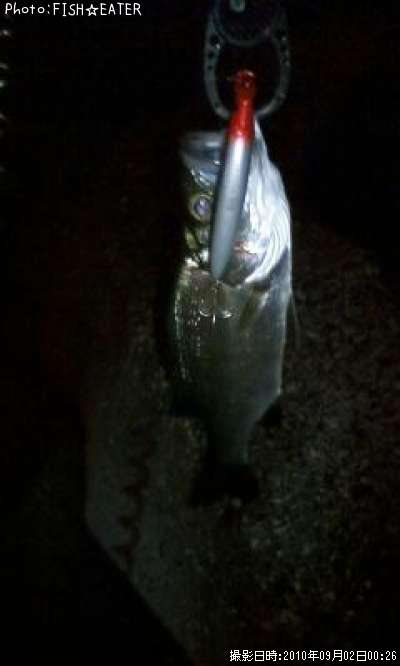 �����Х�