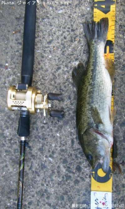 �֥�å��Х�