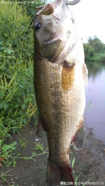 �֥�å��Х�