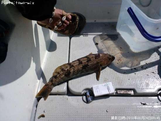 �����ʥ�