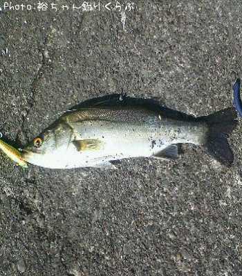 �����Х�