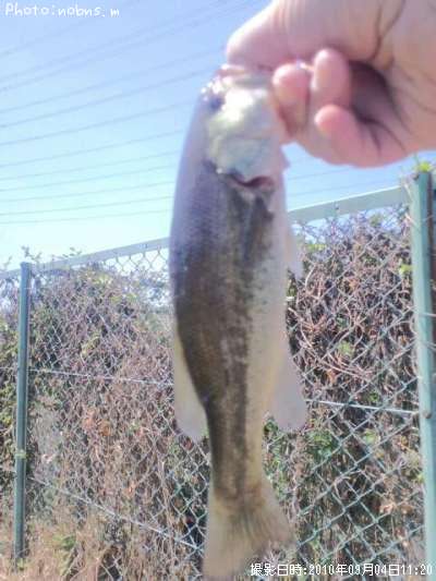 �֥�å��Х�