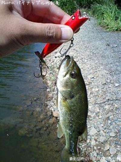 �֥�å��Х�