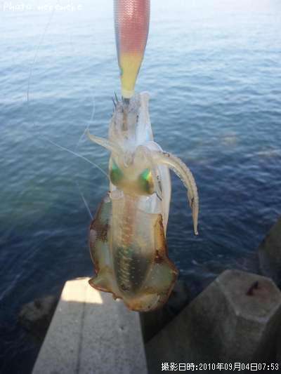 �����ꥤ��