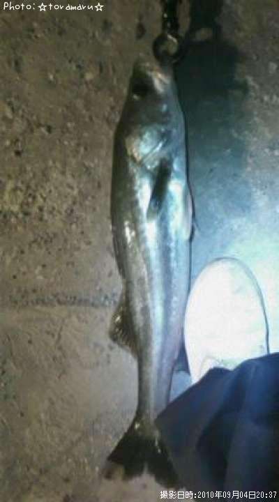 �����Х�