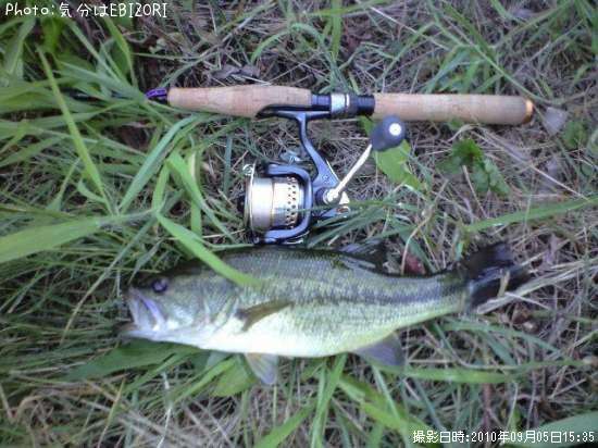 �֥�å��Х�