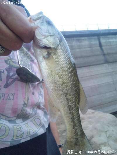 �֥�å��Х�