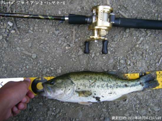 �֥�å��Х�