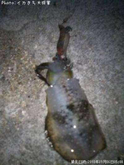 �����ꥤ��