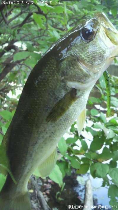 �֥�å��Х�