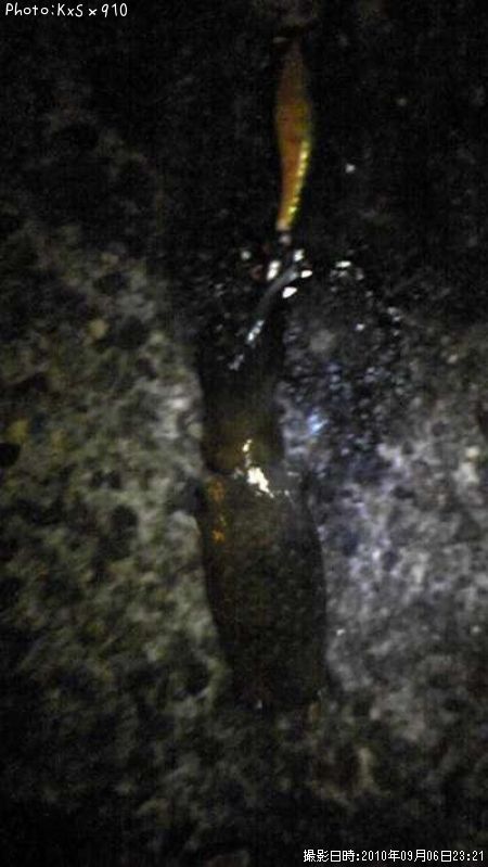 �����ꥤ��