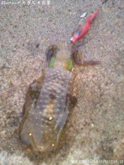 �����ꥤ��