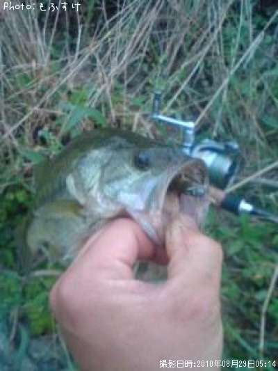 �֥�å��Х�