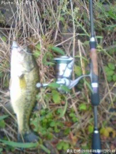 �֥�å��Х�