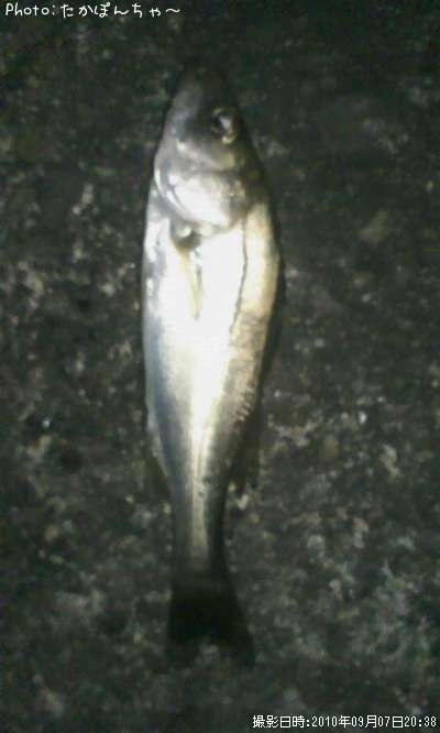 �����Х�