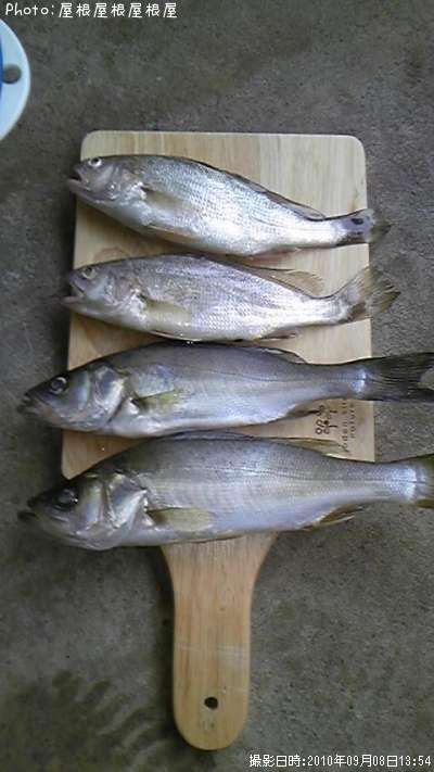 ���������������