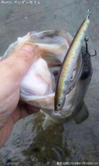 �֥�å��Х�