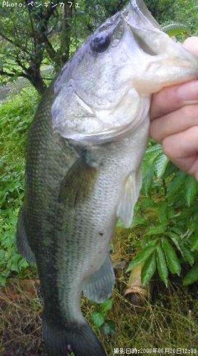 �֥�å��Х�