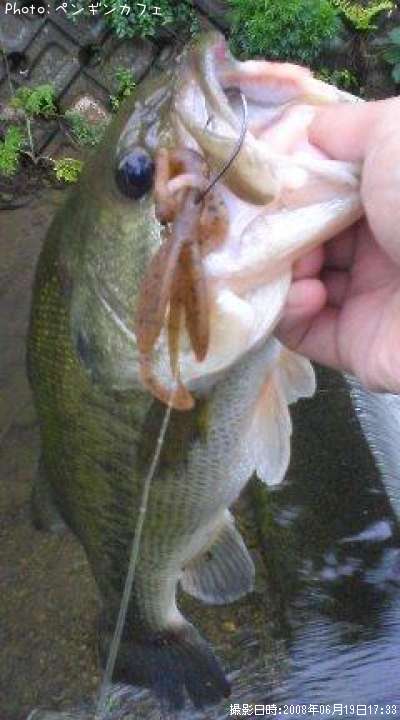 �֥�å��Х�