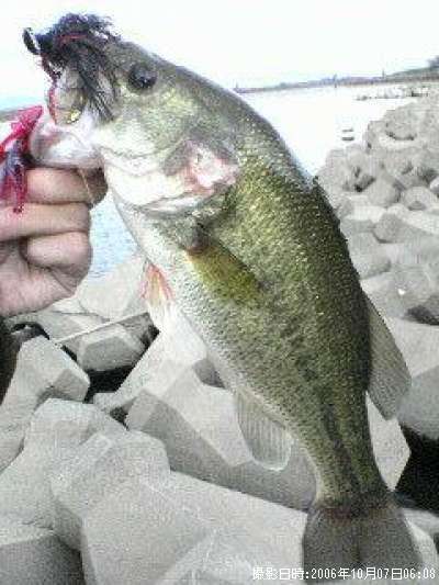 �֥�å��Х�