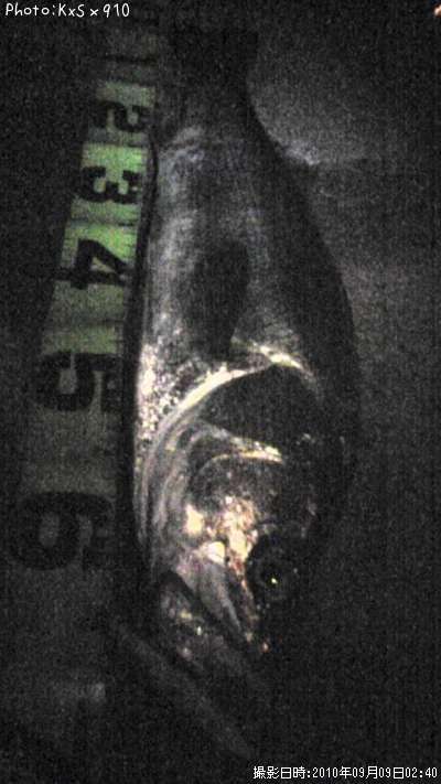 �����Х�