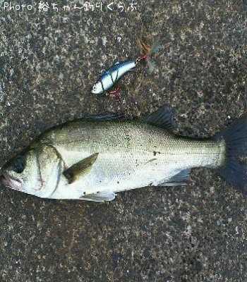 �����Х�