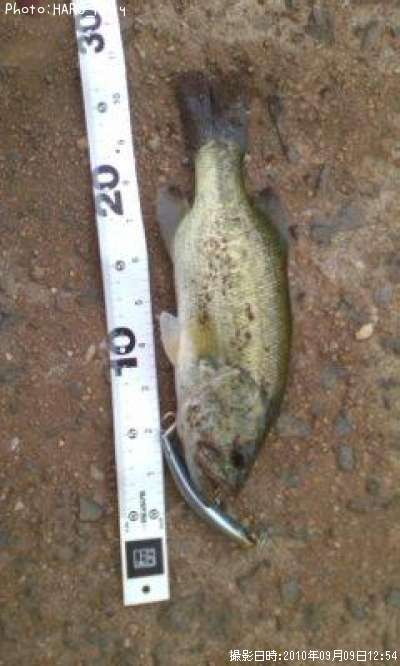 �֥�å��Х�