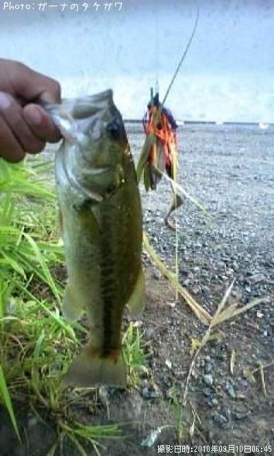 �֥�å��Х�